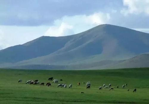 有什么事是去了蒙古国才知道的？真实的蒙古国是什么样的？
