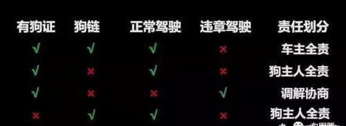 在小区内开车撞死了宠物怎么办？