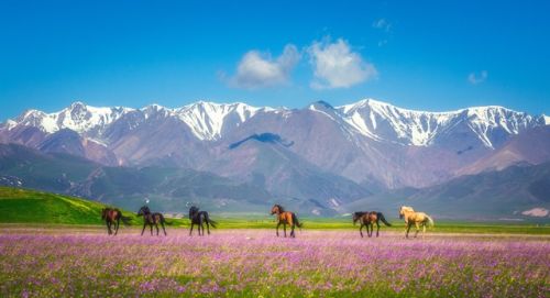 为什么有些去新疆的旅行社行程很少有南疆的景点？