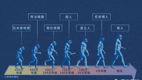 地球上第一个人类是怎么来的？人类是怎么繁殖起来的？