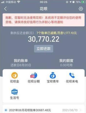 支付宝欠款33000，15号起诉，如果法院判下来总的大概要还多少？