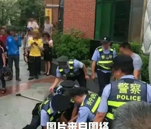 上海发生命案，62岁老人为何坐火车抵沪杀人？