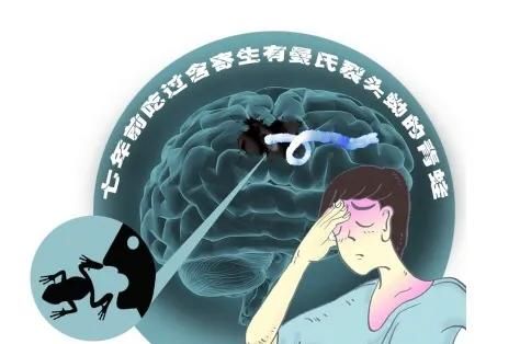 蛇泡到酒里，蛇身体里寄生虫会被酒泡死吗？喝了会感染寄生虫吗？