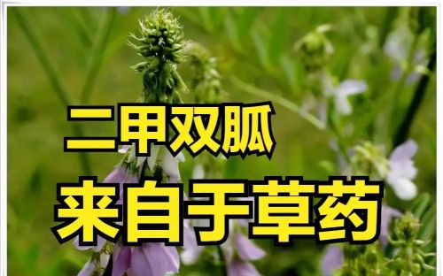 为什么传承几千年的中医被国外几百年的西医取代成为主流了呢？