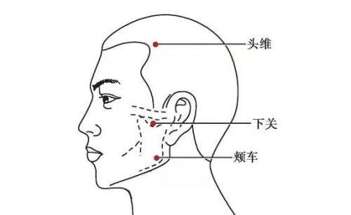 足阳明胃经的常用俞穴、分别在什么位置，有什么作用？