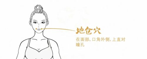 足阳明胃经的常用俞穴、分别在什么位置，有什么作用？