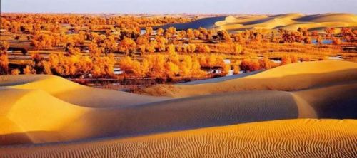 如果塔克拉玛干沙漠变成草原的话，会对中国气候有什么影响？