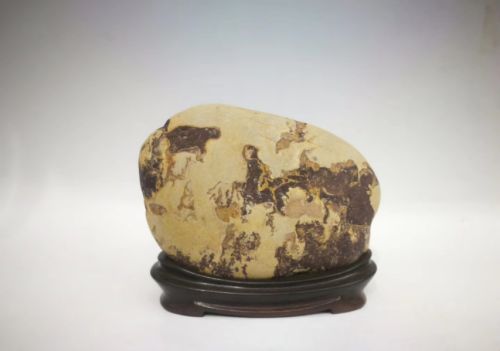 人物石是奇石中的稀缺品种，历来也是收藏家追捧的对象，你手上有拿的出手的人物石吗？能否介绍一下？
