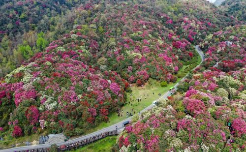 去贵州旅游最值得推荐的10个地方有哪些？