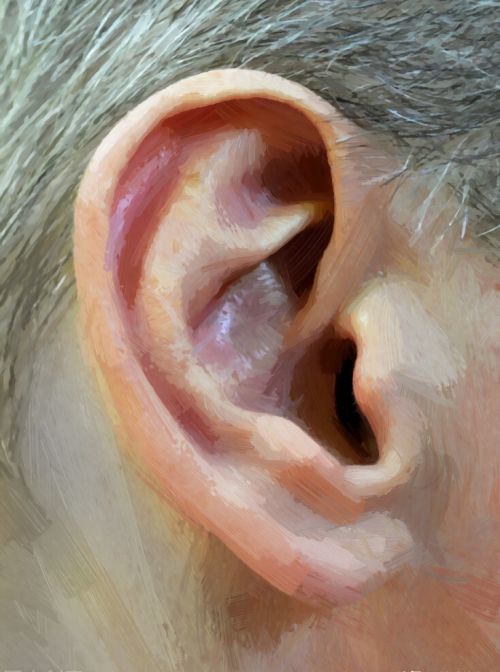 为什么会有油耳、干耳之分？