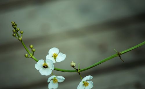 住院期间你遇到过哪些尴尬事？