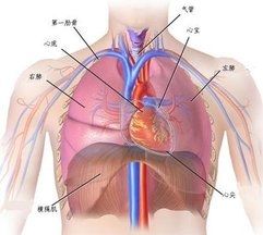 心脏彩超、冠脉造影、冠脉ct正常，为什么心脏还每天不适？