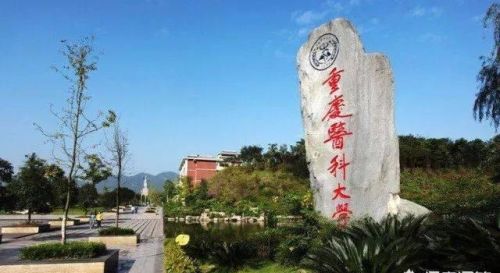 重庆市排名前五的大学，你了解吗？