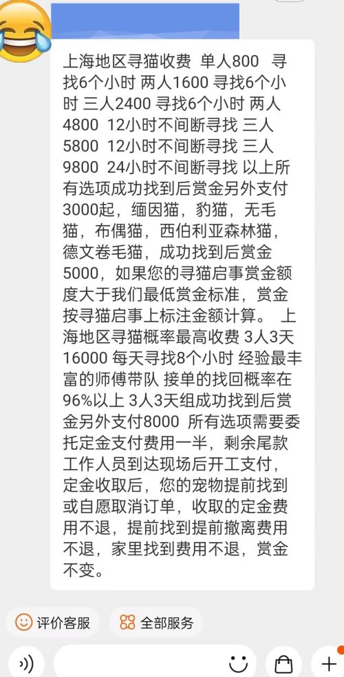 为什么猫咪离家出走后就不愿意再回来了？