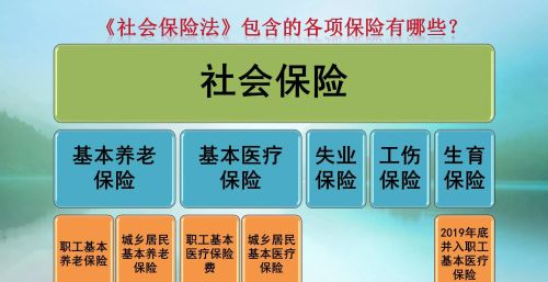 社保断交，之前交的算是白交了吗？