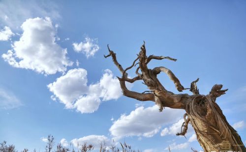 中国的顶级旅游胜地你知道在哪吗？