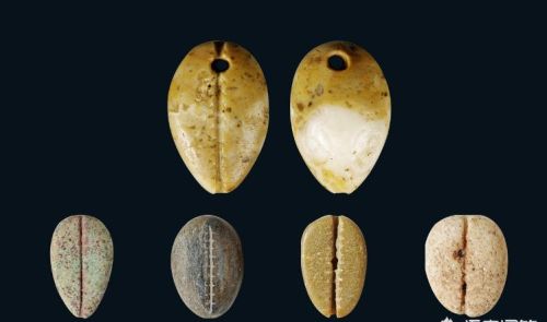 古代用贝壳做货币，为什么穷人不多捡贝壳，让自己一夜暴富？