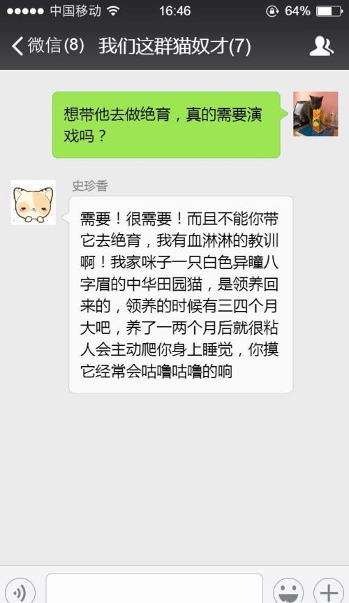 给母猫做绝育要花多少钱？都有哪些注意事项？