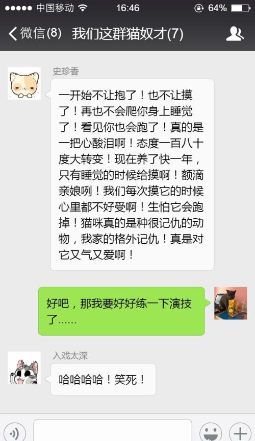 给母猫做绝育要花多少钱？都有哪些注意事项？