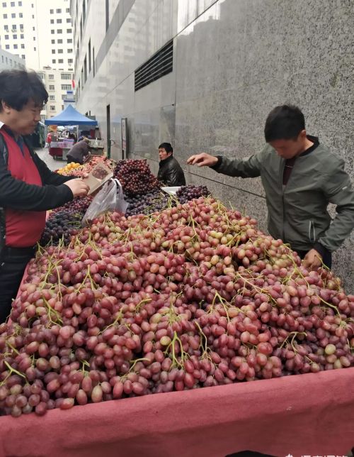 新疆哪个城市的地理位置最好？