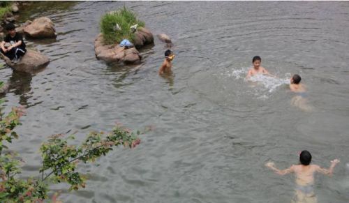 农村老人常说水里有“水猴子”，会拉人下水，水猴子到底是什么？