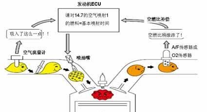 车辆冷启动发动机转速高于怠速，未等转数下降至怠速便挂档起步有什么危害？