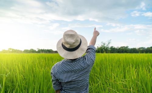 帮女儿带了七年外孙，现在成冤家，该怎么解决？