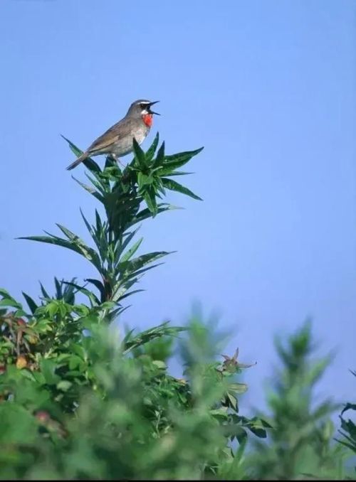 生命是平等的，蔑视老人的生命，就是对社会的犯罪，你怎么看？