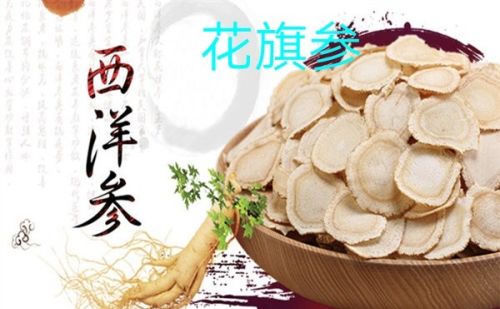 三七和西洋参泡酒可以吗？