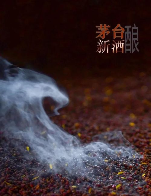 茅台镇的那些低价酱香酒是粮食酒吗？