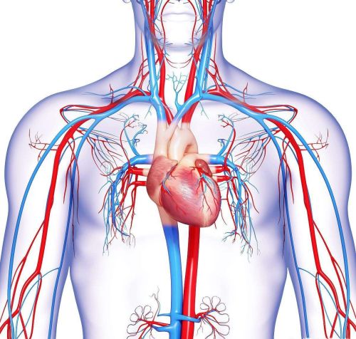心梗是什么原因造成的？