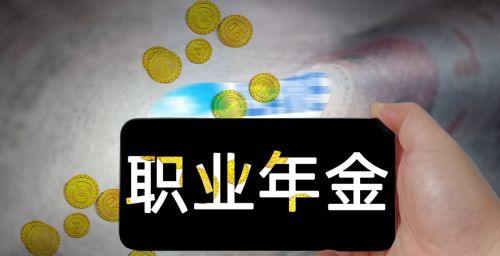 职业年金是发放到养老退休金里面吗？