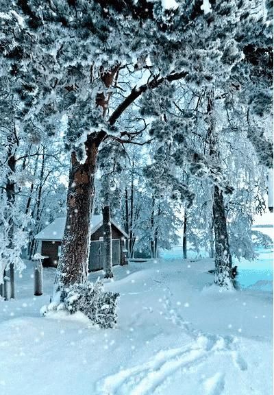 “春有百花秋有月，夏有凉风冬有雪”，你怎么理解这句带人生哲理的句子？