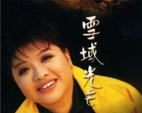 下列四位歌手，谁是华语乐坛最有影响力的女歌手A.那英；B.韩红；C韦唯；D.毛阿敏？