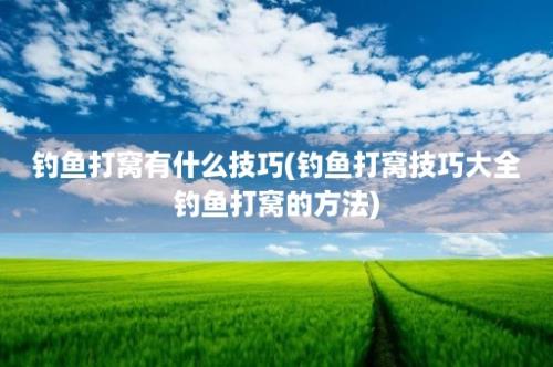 钓鱼打窝有什么技巧(钓鱼打窝技巧大全钓鱼打窝的方法)