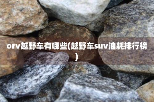 orv越野车有哪些(越野车suv油耗排行榜)