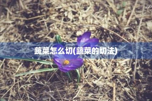 蔬菜怎么切(蔬菜的切法)