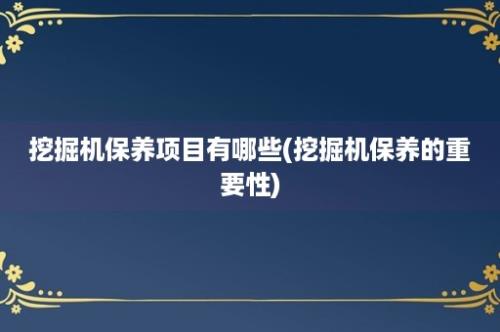 挖掘机保养项目有哪些(挖掘机保养的重要性)