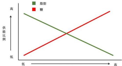 饿肚子的时候是在消耗脂肪吗？