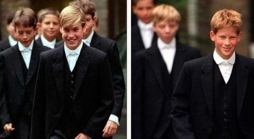 英国皇室威廉王子和哈里王子，头发颜色为什么不一样呢？