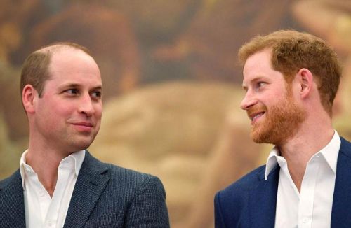 英国皇室威廉王子和哈里王子，头发颜色为什么不一样呢？