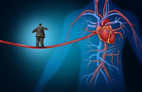 人体的心血管要如何养护？