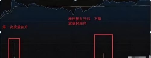 怎么从每日的涨停板中选出会上涨的股票？