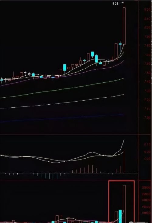 怎么从每日的涨停板中选出会上涨的股票？