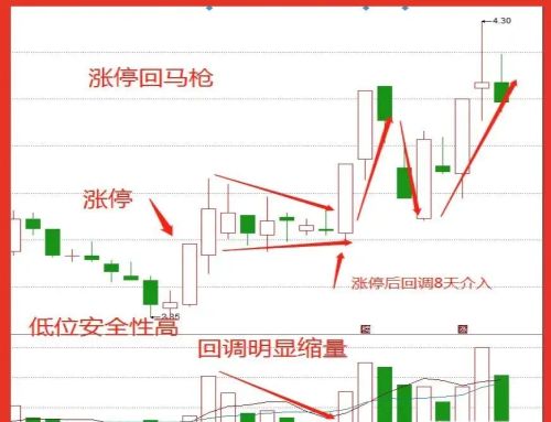 怎么从每日的涨停板中选出会上涨的股票？