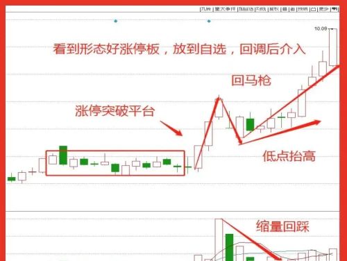 怎么从每日的涨停板中选出会上涨的股票？