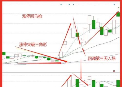 怎么从每日的涨停板中选出会上涨的股票？