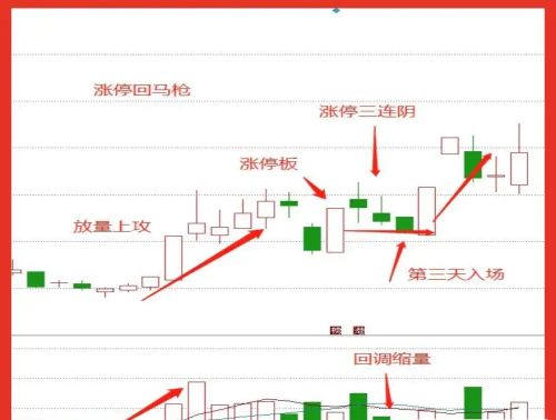 怎么从每日的涨停板中选出会上涨的股票？