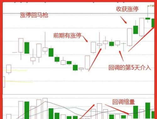 怎么从每日的涨停板中选出会上涨的股票？