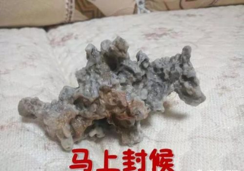 中华老传统，会断代吗？